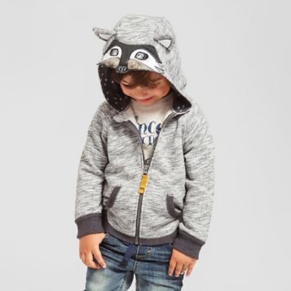 Raccoon Hoodie